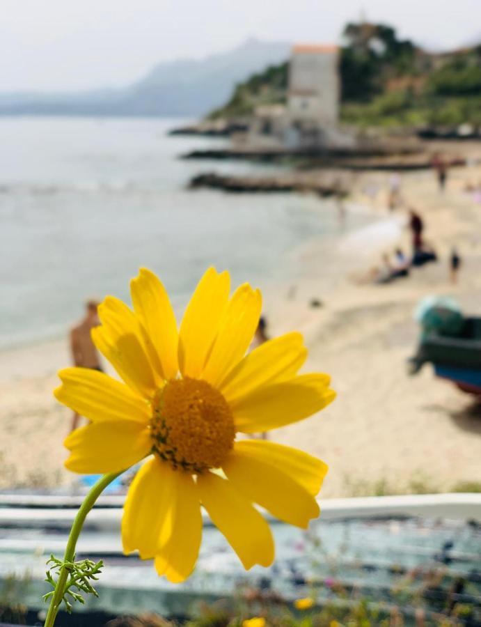 La Casetta Di Maria Apartment Santa Flavia Bagian luar foto